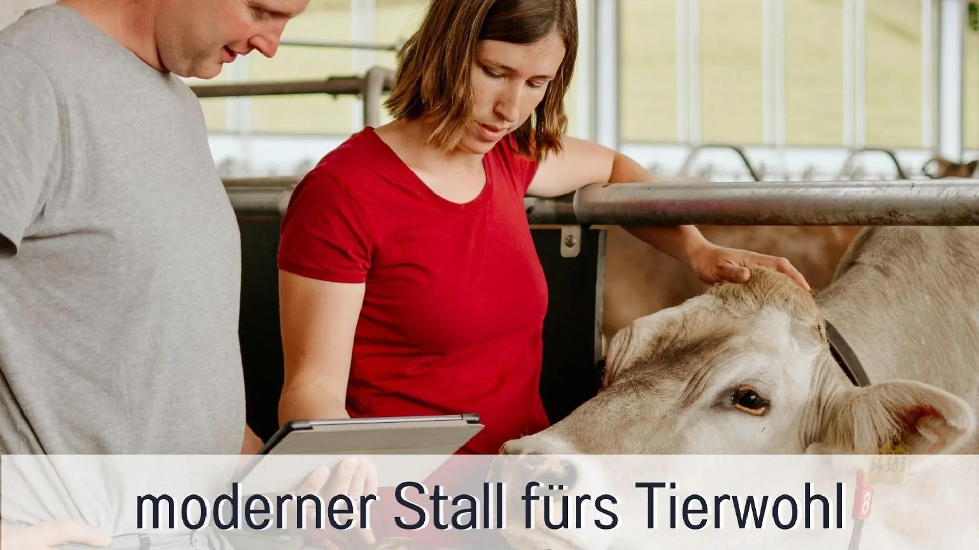 Ferienhof Eger - Entspannter Urlaub Mit Baby & Kleinkind - Wahlweise Top Modern Oder Guenstige Fewos - Ruhig Am Ende Der Strasse - Kaelbchen Fuettern - Traktor Fahren - Freie Fahrt Mit Den Hoernerbahnen In Sommersaison - E-Ladestation - E-Bike Verlei Immenstadt im Allgaeu Germany