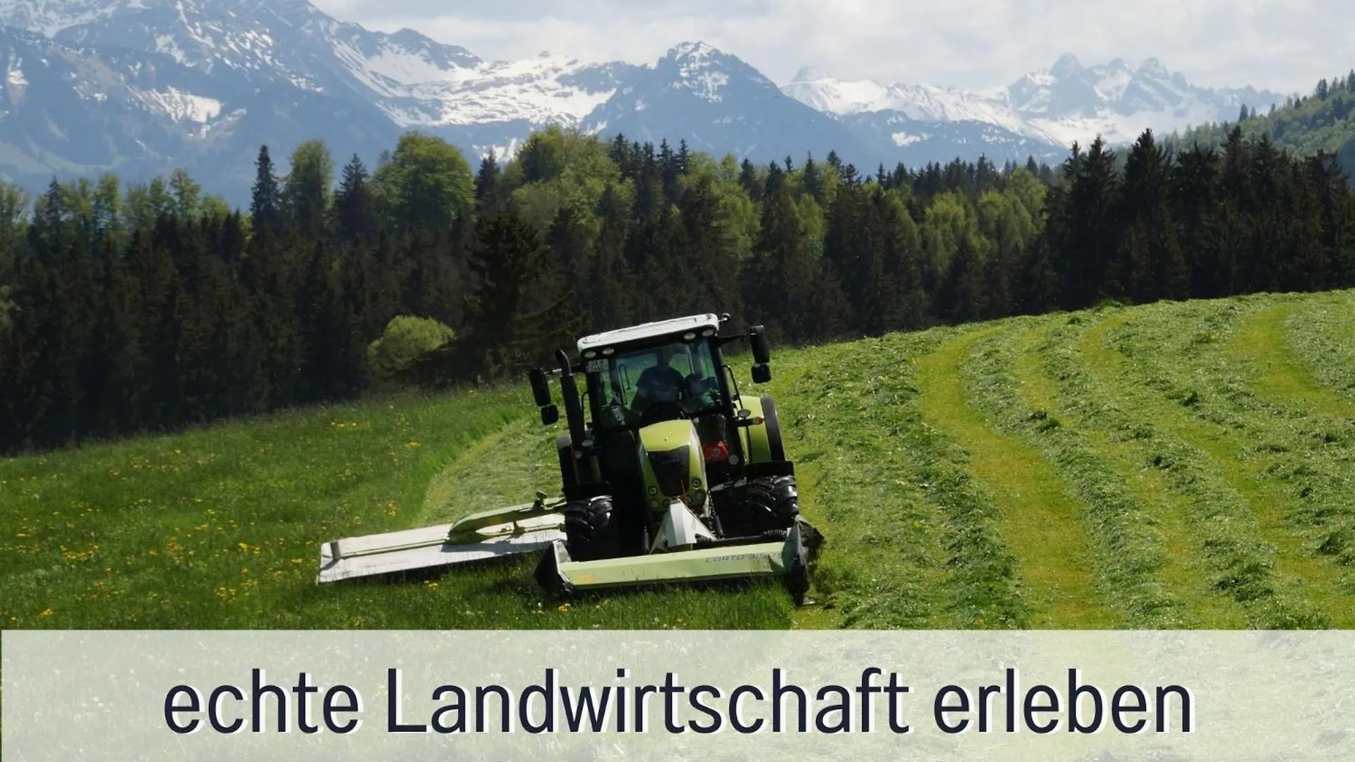 Ferienhof Eger - Entspannter Urlaub Mit Baby & Kleinkind - Wahlweise Top Modern Oder Guenstige Fewos - Ruhig Am Ende Der Strasse - Kaelbchen Fuettern - Traktor Fahren - Freie Fahrt Mit Den Hoernerbahnen In Sommersaison - E-Ladestation - E-Bike Verlei Immenstadt im Allgäu