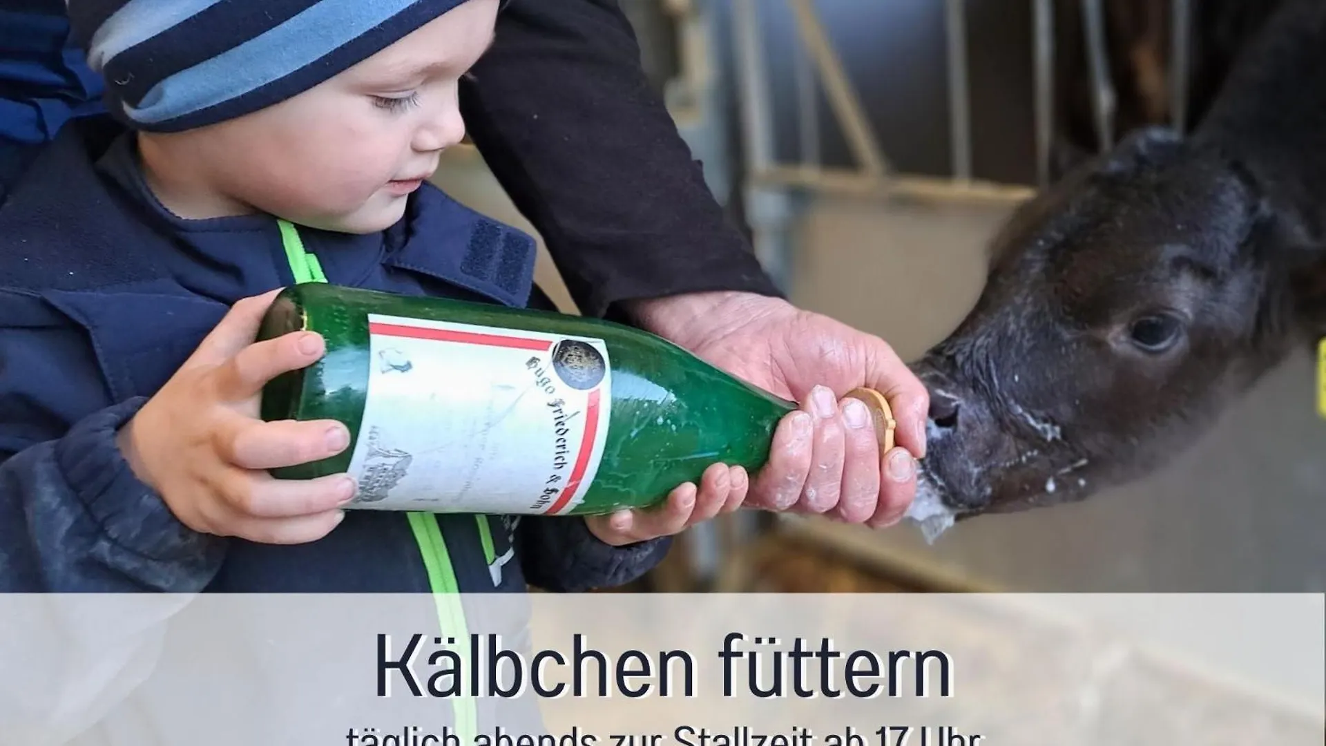 Ferienhof Eger - Entspannter Urlaub Mit Baby & Kleinkind - Wahlweise Top Modern Oder Guenstige Fewos - Ruhig Am Ende Der Strasse - Kaelbchen Fuettern - Traktor Fahren - Freie Fahrt Mit Den Hoernerbahnen In Sommersaison - E-Ladestation - E-Bike Verlei Immenstadt im Allgäu Lägenhet